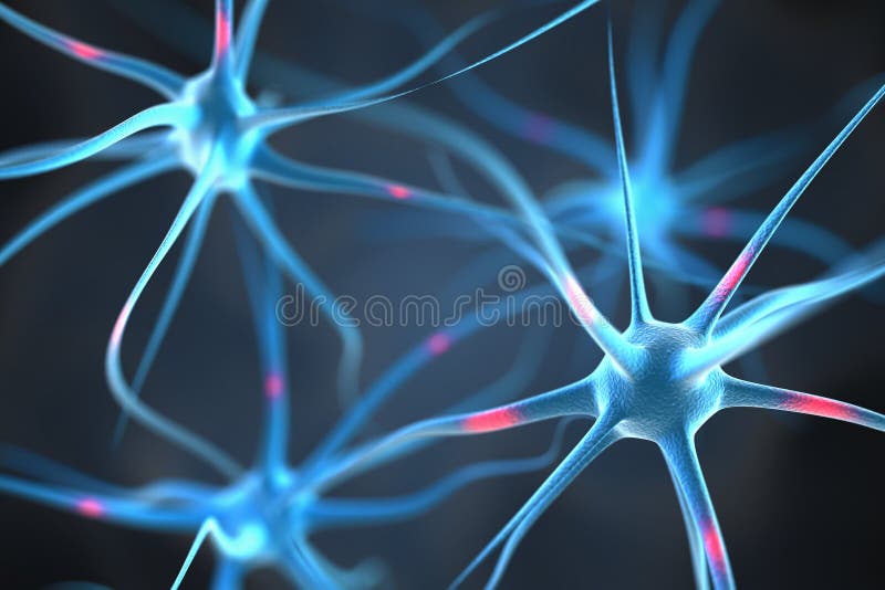 neurones dans le cerveau