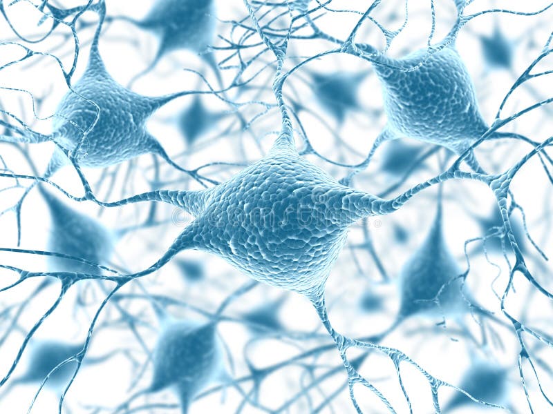 Neurons vector illustration