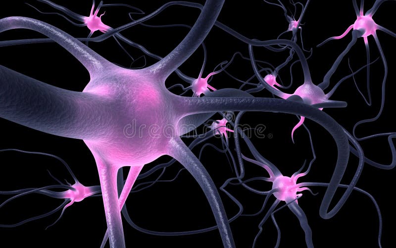 Neurons vector illustration