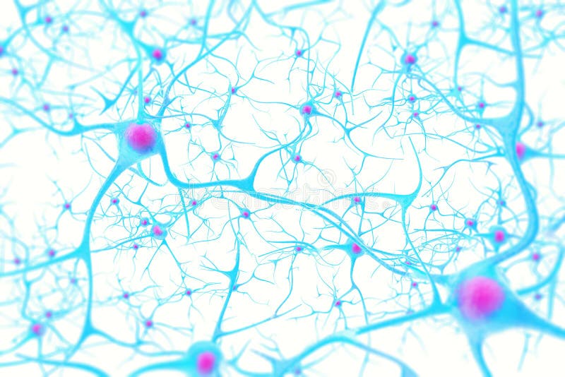 Neurons in the brain on white background with focus effect. 3d illustration