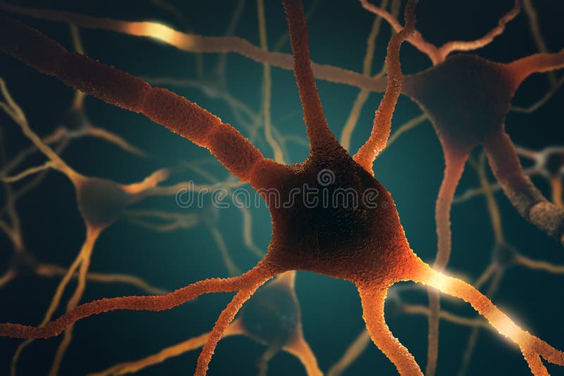 Image concept of neurons interconnected in a complex brain network. Image concept of neurons interconnected in a complex brain network.