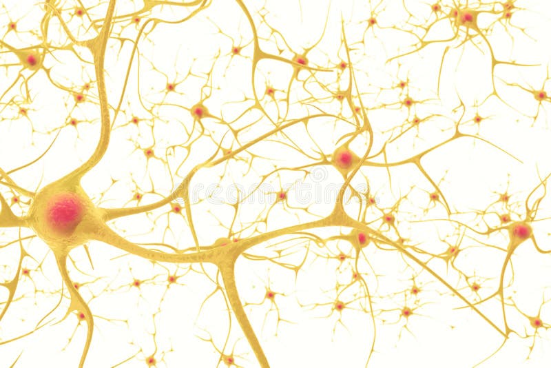 Neurons in the human nervous system with the effect of depth of field. 3d illustration on a white background