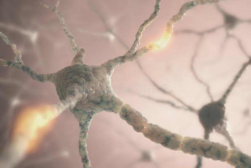 Image concept of neurons from the human brain.