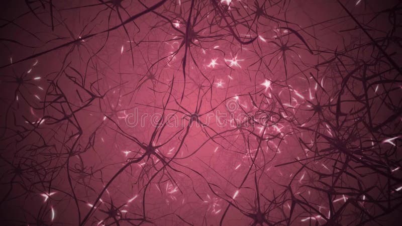 Neurons inside human brain. Camera moves through neuron cells. 3D rendered animation