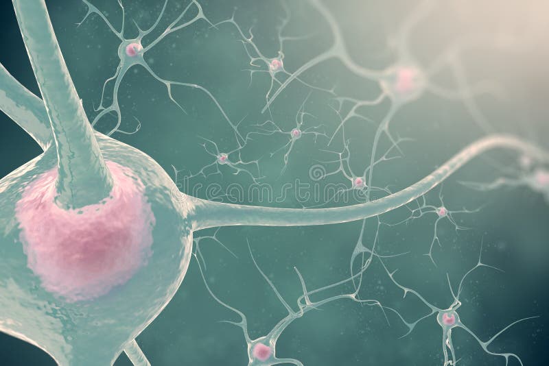 The neurons of the nervous system with the effect blurring and light. 3d illustration nerve cells