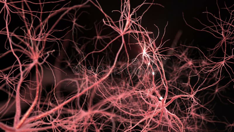 Neuronsynapsennetz Flug durch Gehirn Animation 3D