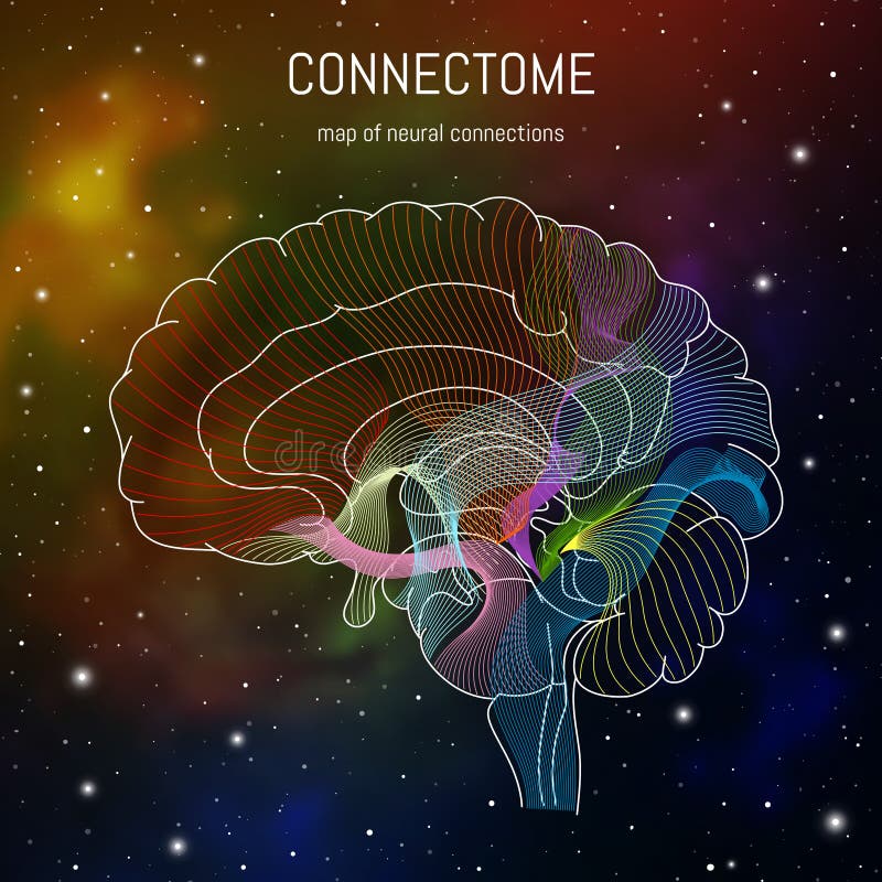 Neuroscience infographic on space background. Brain cells connectome concept.Neural network, neurons forming a complex map for. Mind and thinking
