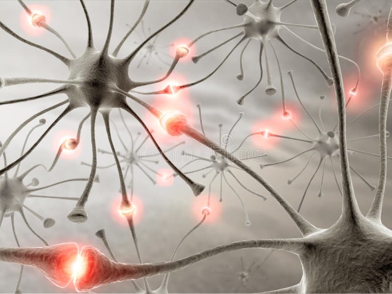 Neurônios Neurônios