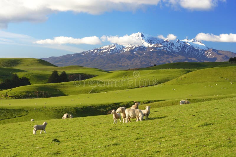 Neuseeland-Landschaft