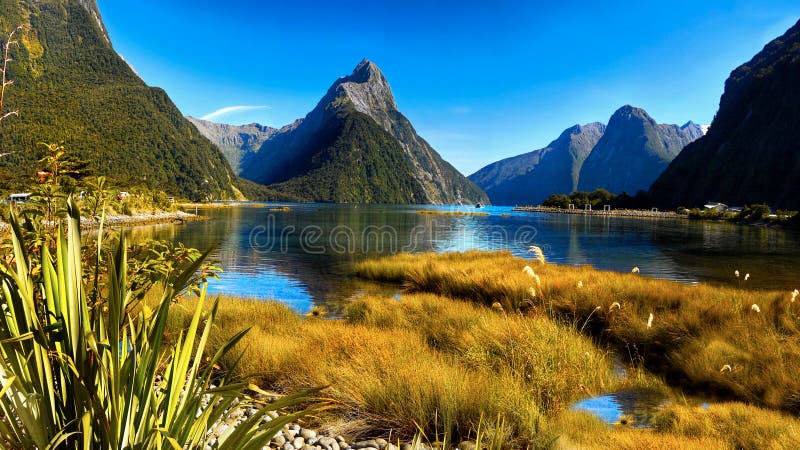 Neuseeland Milford Sound lizenzfreies stockfoto Neuseeland Milford Sound lizenzfreies stockfoto