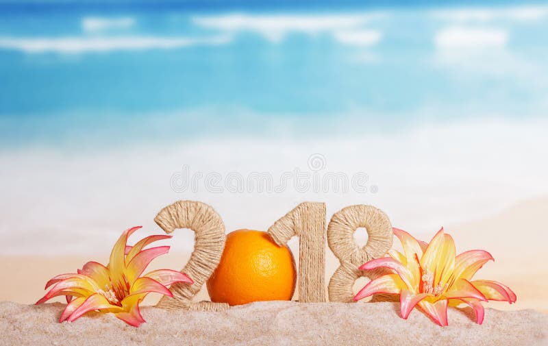 Nev Year inscription 2018 decorated with orange and flowers stock images Nev Year inscription 2018 decorated with orange and flowers stock images