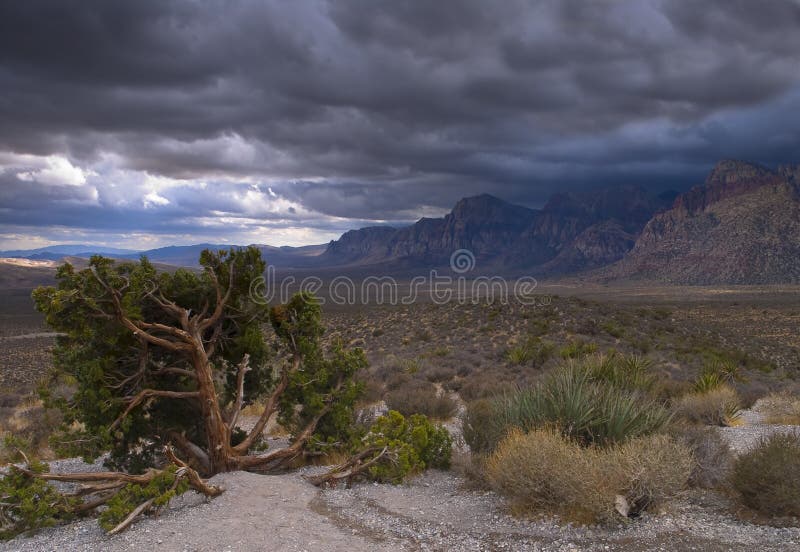 Nevada Desert Picture. Image 8491143