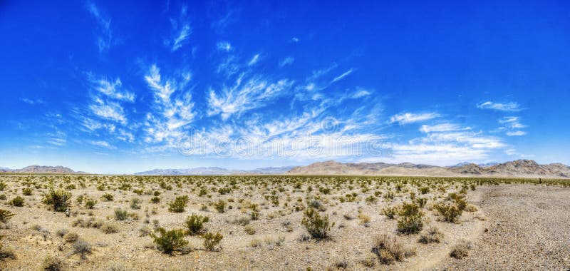 Nevada Desert Beauty