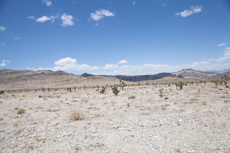 Nevada Desert with Mountains