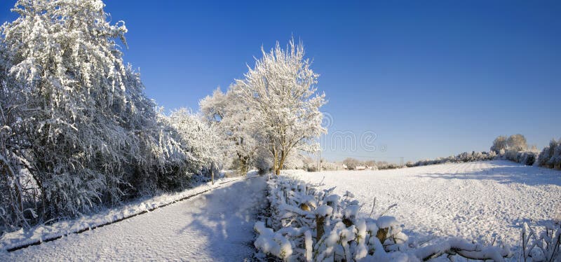 Neve imagens de stock