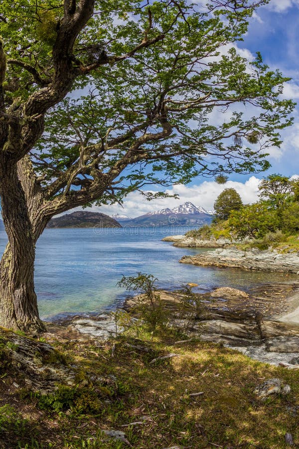 A neve cênico tampou as montanhas chilenas vistas de Tierra del Fuego National Park em Argentina imagens de stock A neve cênico tampou as montanhas chilenas vistas de Tierra del Fuego National Park em Argentina imagens de stock