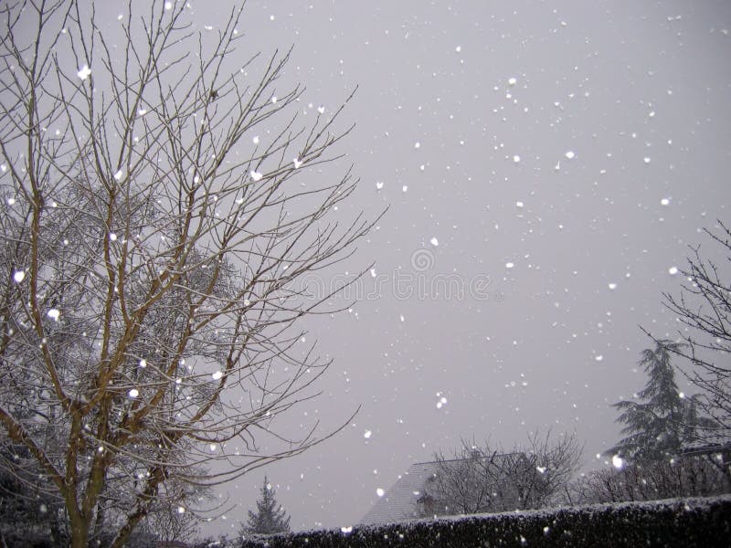 Neve di caduta immagini stock libere da diritti Neve di caduta immagini stock libere da diritti