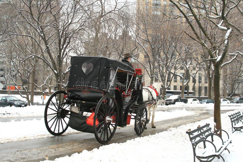 Neve invernale a Central Park fotografia stock libera da diritti