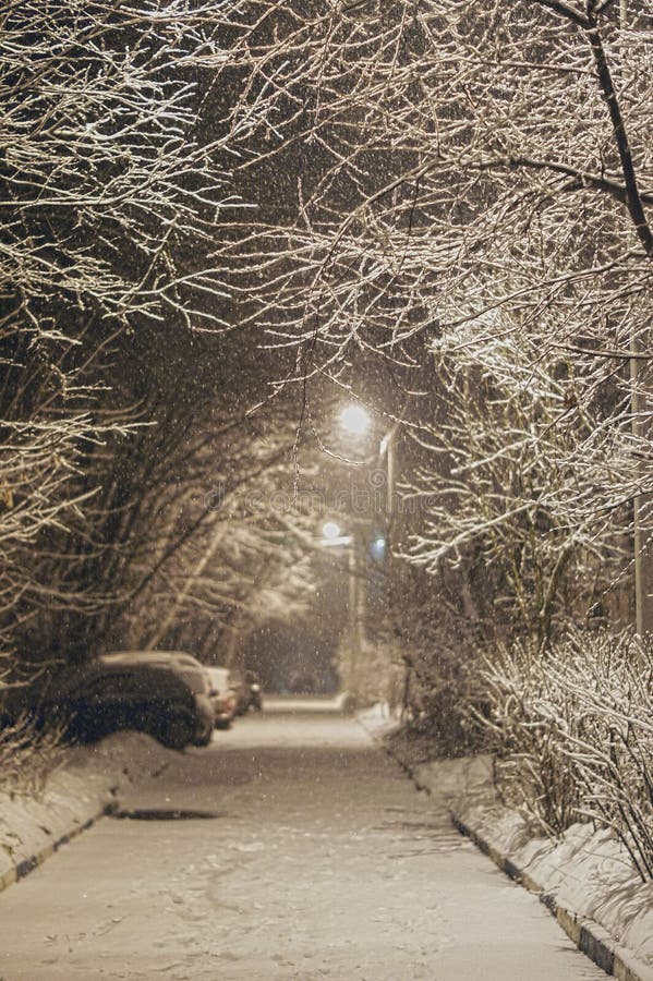 A neve macia cai em um fundo das árvores foto de stock A neve macia cai em um fundo das árvores foto de stock