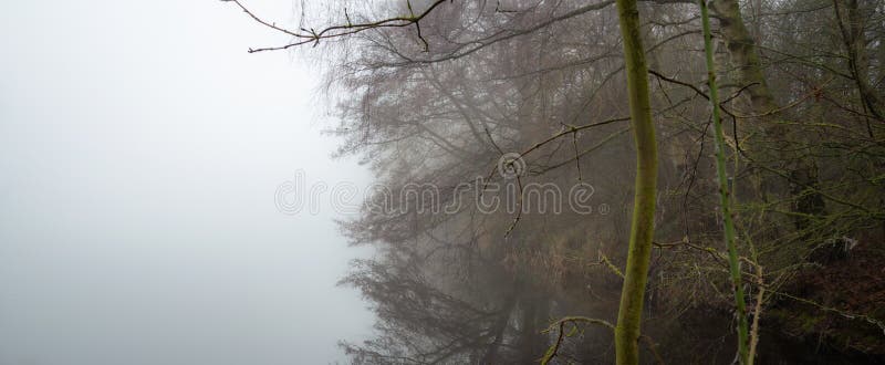 Nevoeiro matinal em anglli no parque pela reserva natural lago st chads janeiro de 2021