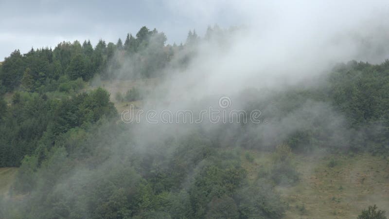Nevoeiro nas montanhas que chove na visão mística da fumaça da floresta nebulosa nos alpinos misteriosas nuvens de paisagem assust