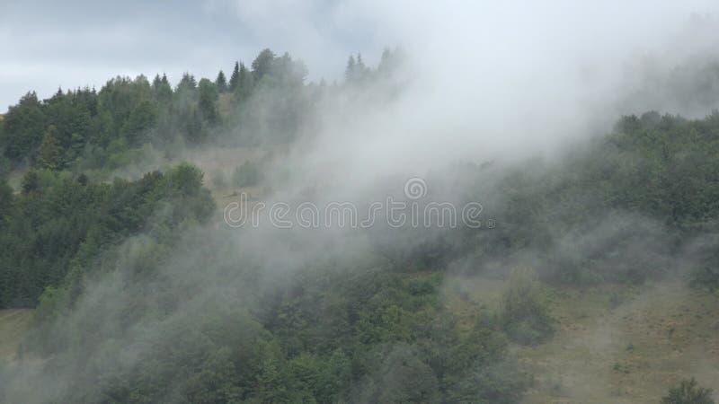 Nevoeiro nas montanhas que chove na visão mística da fumaça da floresta nebulosa nos alpinos misteriosas nuvens de paisagem assust