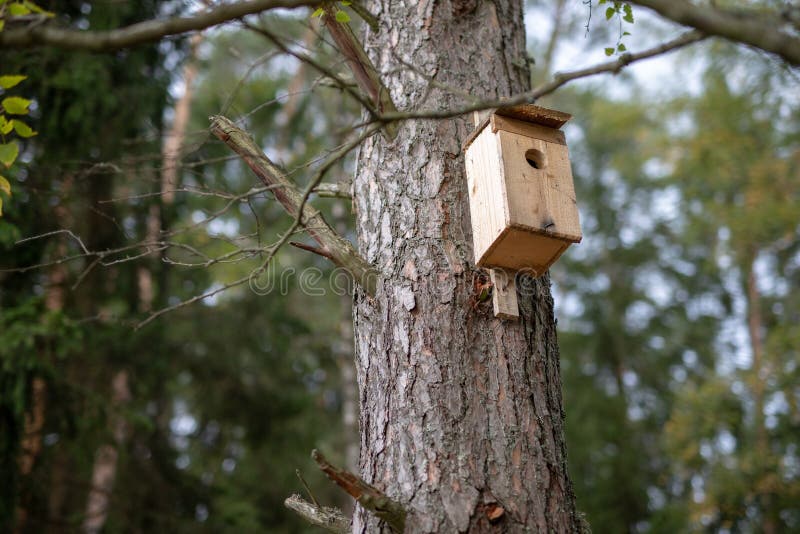 A new bird feeder suspended on a tree. Birdhouse in a nature res. Erve in Central Europe. autumn season stock photo A new bird feeder suspended on a tree. Birdhouse in a nature res. Erve in Central Europe. autumn season stock photo