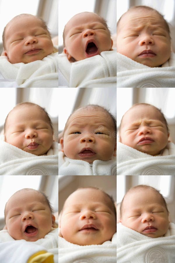 New Born Baby Faces stock photo. Image of onesie, babies 16853132