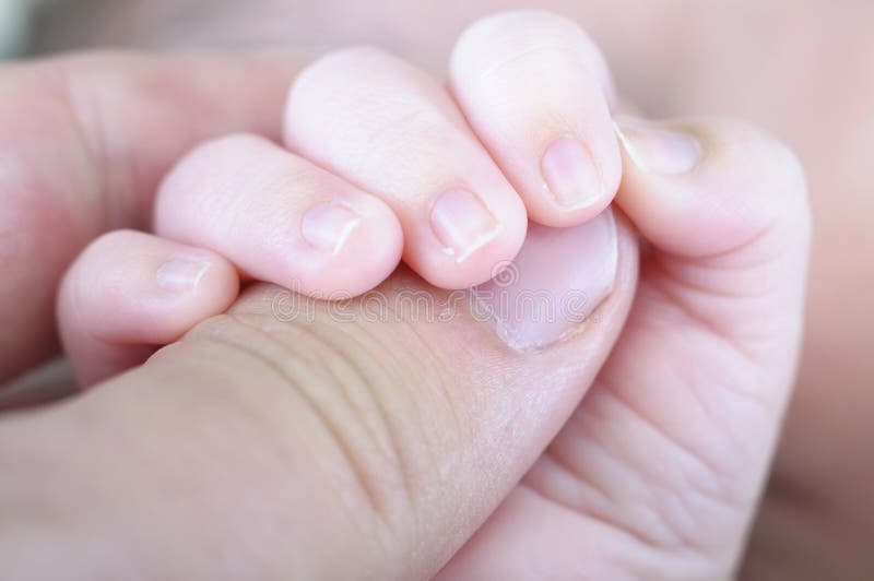 New born hand stock photography New born hand stock photography