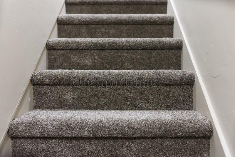 New Carpet on Basement Stairs Stock Photo - Image of brown, indoors:  184515506
