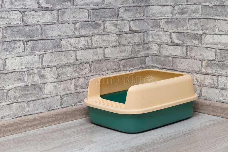 The New Cat Litter Box is in the Corner of the Room Stock Image Image