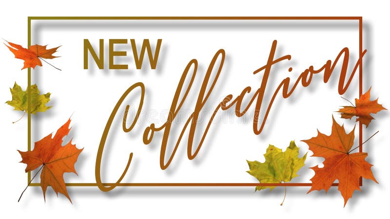 New Collection lettering in frame with autumn leaves in different sizes - sales advertising concept royalty free illustration