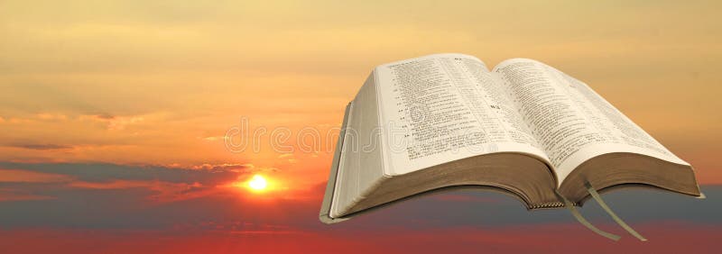 New dawn bible