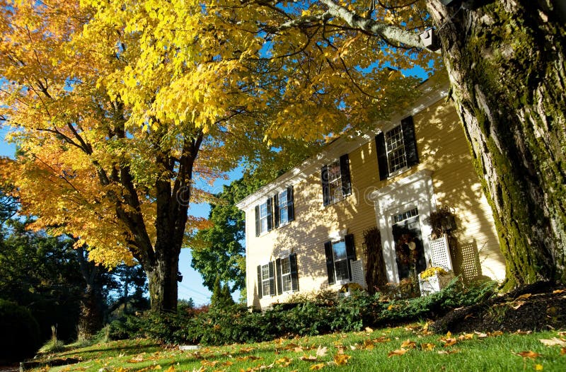 New England Colonial in Autumn, with Maples