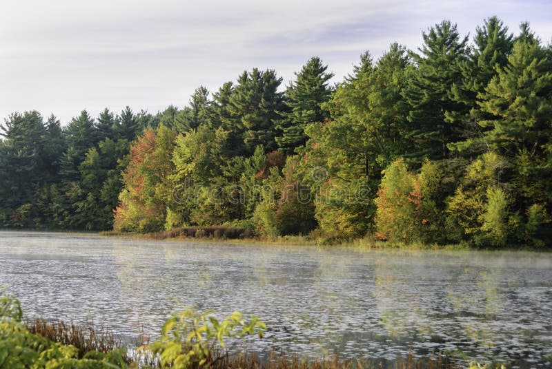 New England forest and pond stock images New England forest and pond stock images