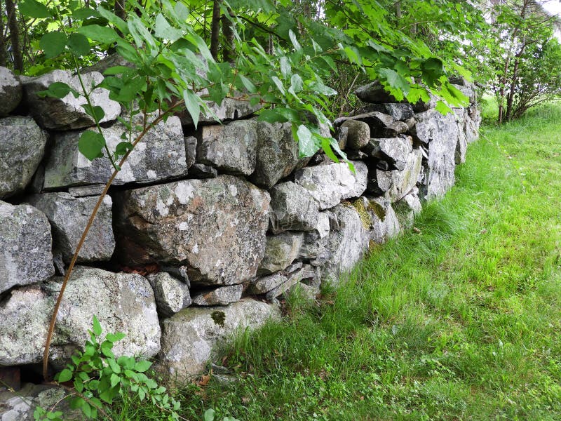 New England stone fence in Massachusetts