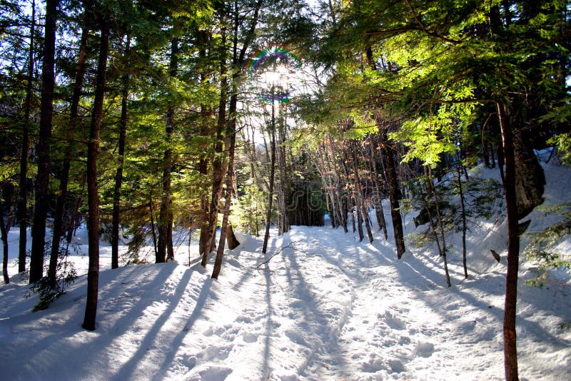 New England winter