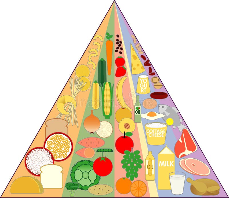 A Food Pyramid Chart