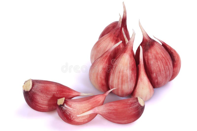 New garlic Cloves and bulb stock photography New garlic Cloves and bulb stock photography