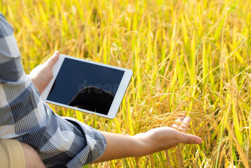 The New Generation of Farmers is Using the Research Tablet and S Stock