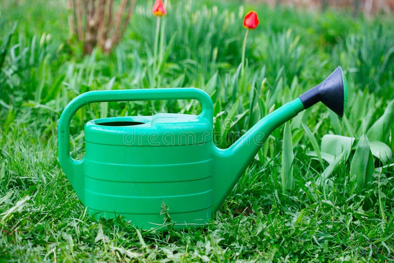 New Green Watering Can Standing on Grass Stock Image Image of