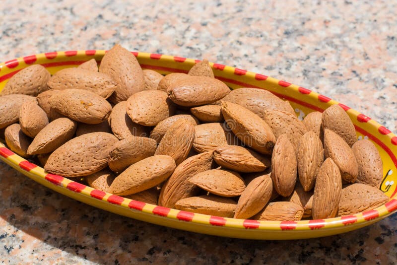 Ripe almonds stock image. Image of macro, fall, plant 51578567