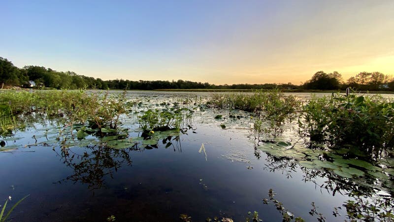 Mixed colors in sunset. on lake front royalty free stock photos