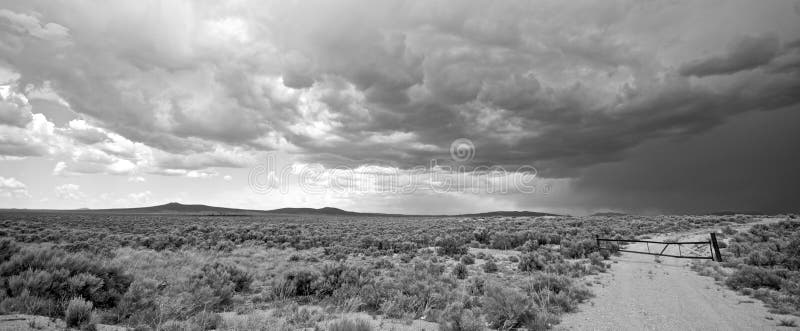 New Mexico Storm