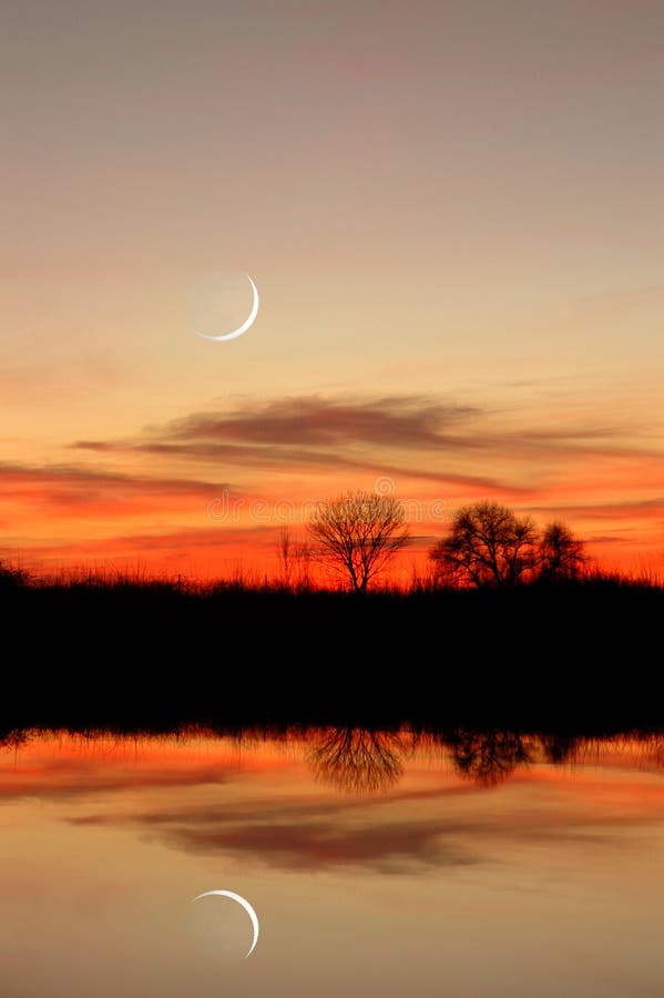 Nuovo un mese, tramonto, un costiero un albero riflessione Attraverso tutto il tempo costiero crosta animali e piante conserva,, centrale la Valle,.