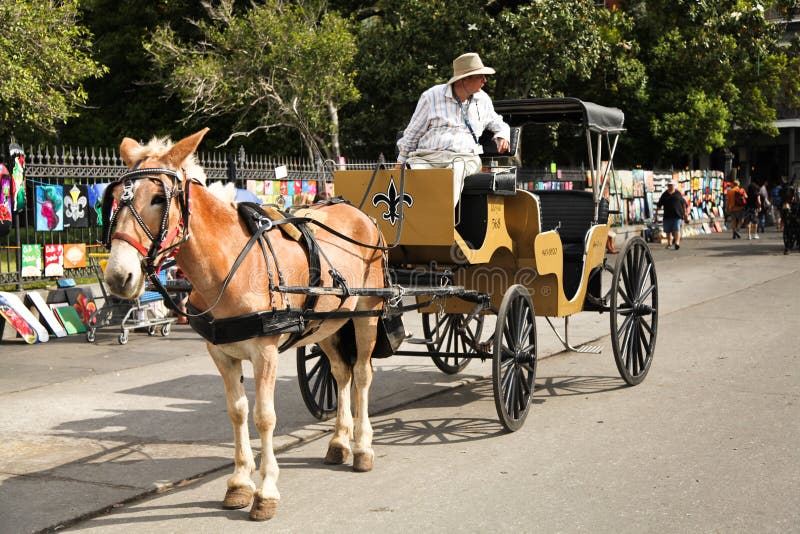 New Orleans - Mule and carriage
