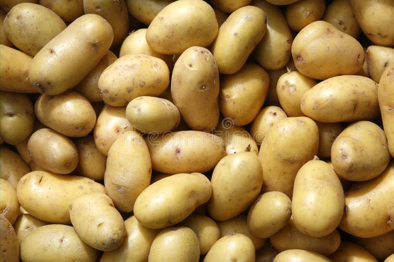 New potatoes.