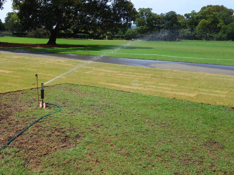 New Turf Irrigation in Public Park