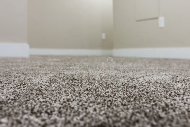 New Warm Grey Carpet Stock Image. Image Of Clean, Estate - 184515511