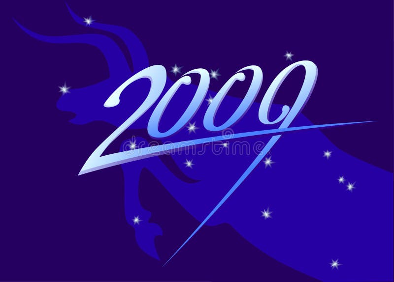 New year 2009 sign